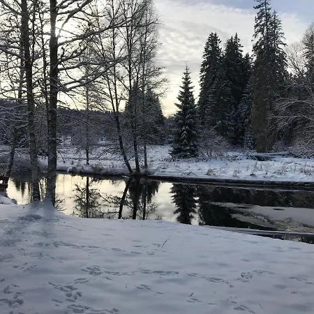 12 * Stožec