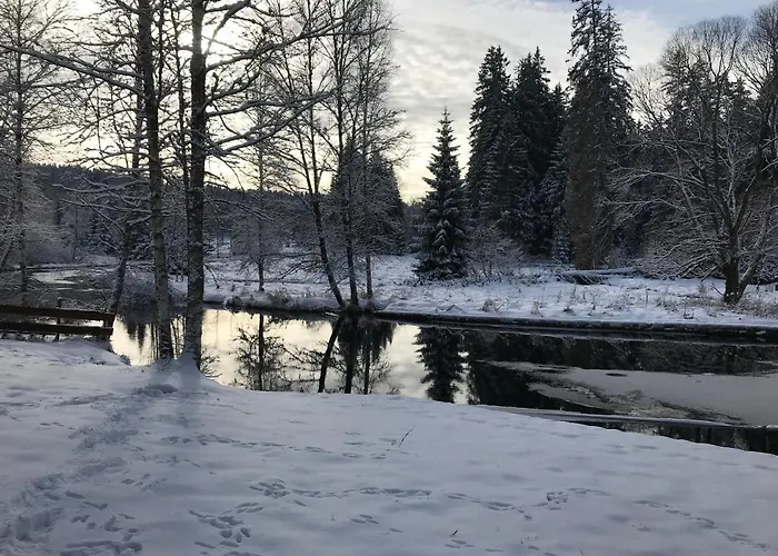 12 * Stožec